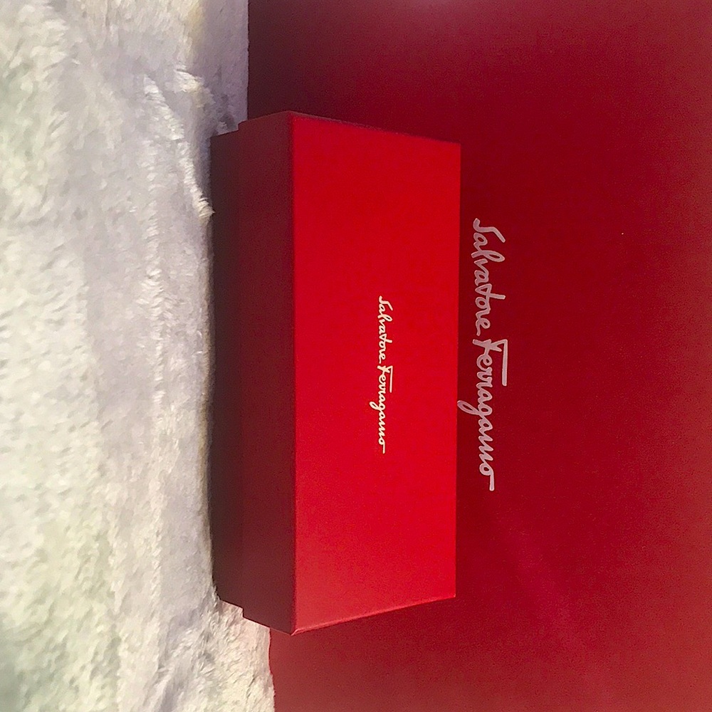 Salvatore Ferragamo sunglasses